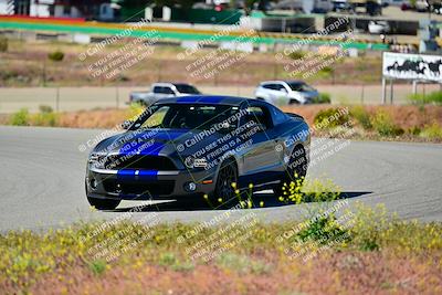 media/Apr-27-2024-LA Shelby Club (Sat) [[ca61902bd2]]/White Group/Session 1 (Turn 2)/